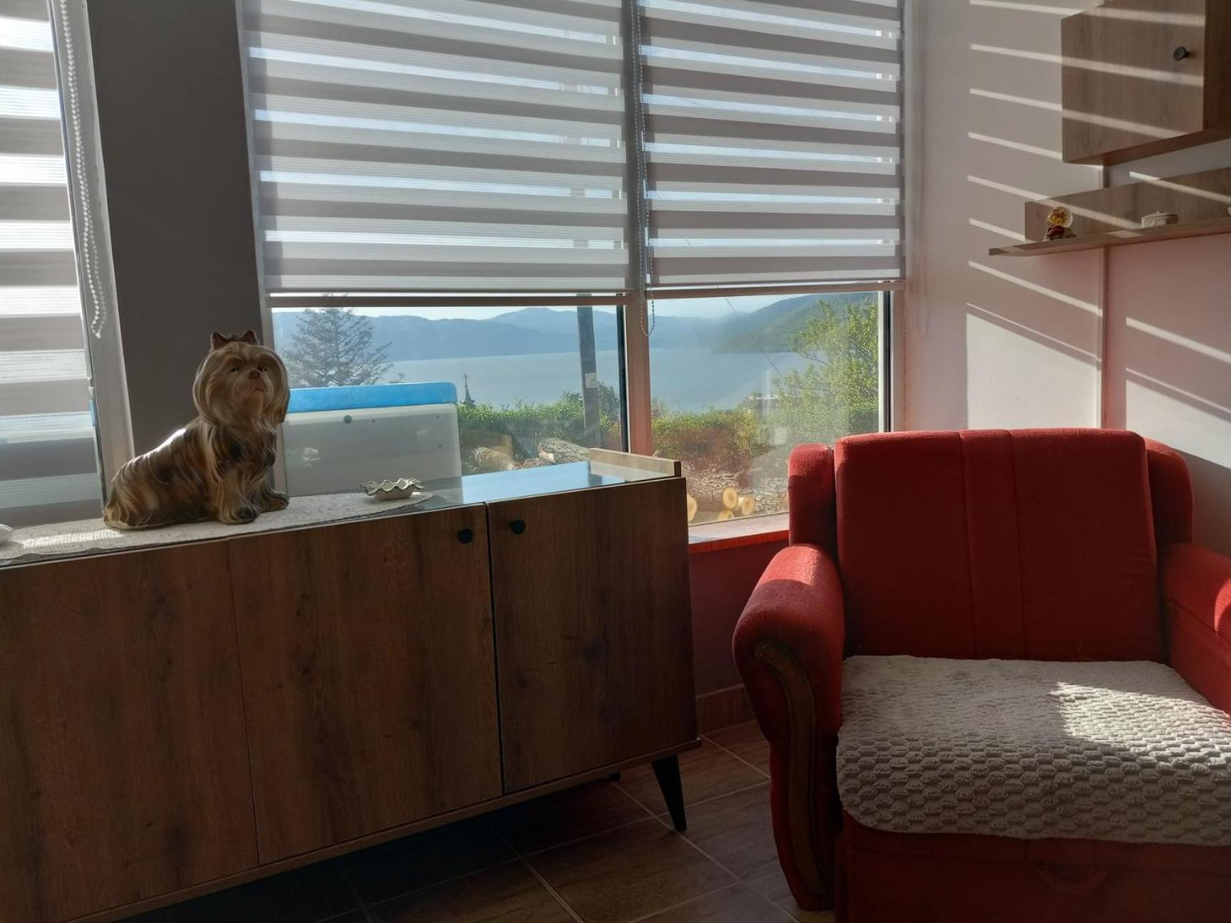 Apartman Sani Donji Milanovac Exteriér fotografie